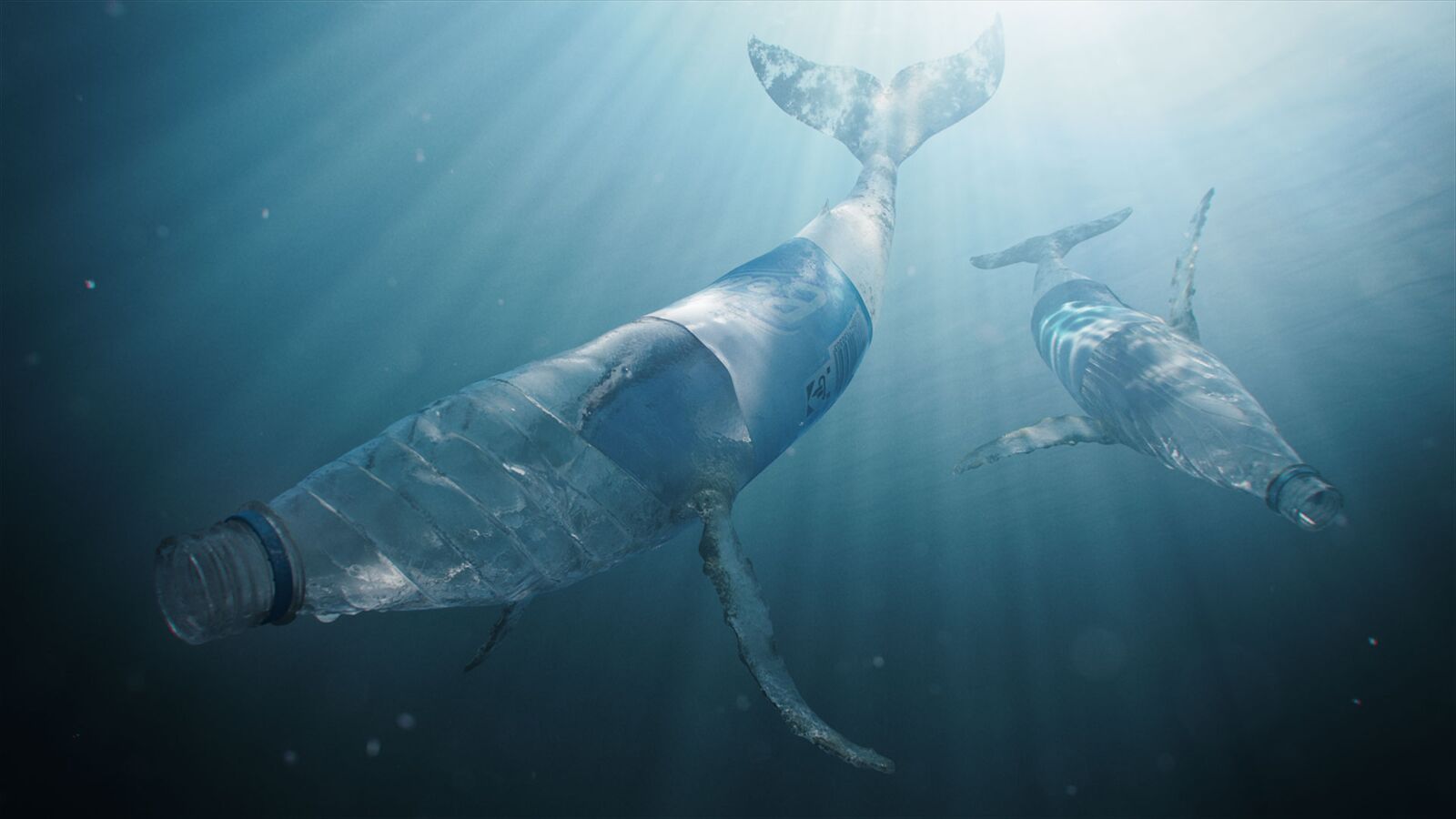 Bringing an Underwater World to Life