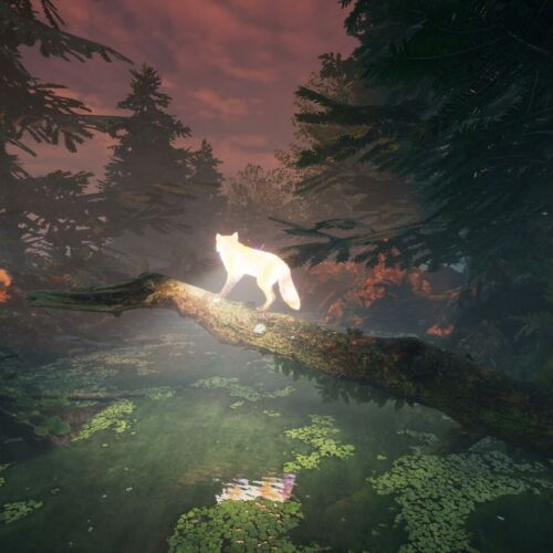 Scene from the VR-Journey BEEING