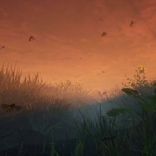 Scene from the VR-Journey BEEING