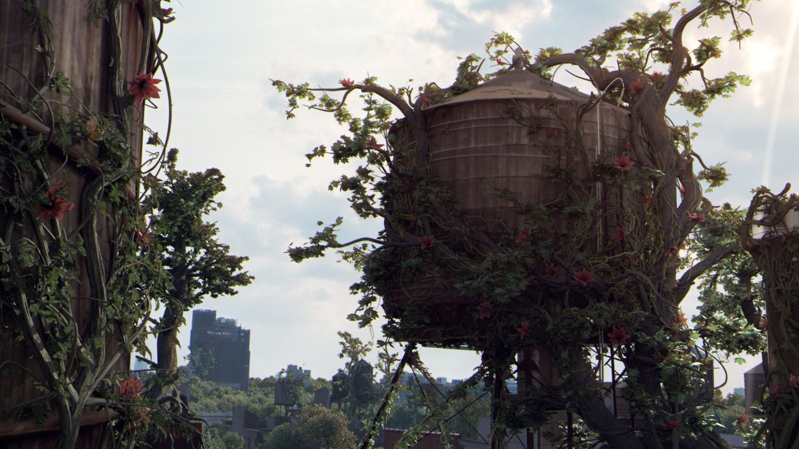 From Decay to Bloom: WRAPPED