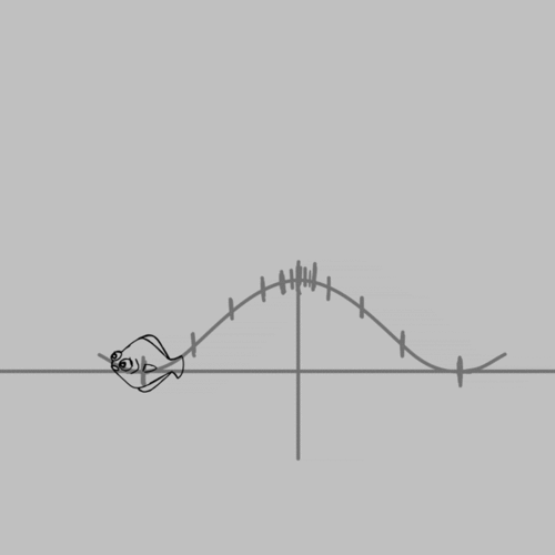 Animated scetch of a swimming fish